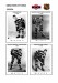 NHL otts 1933-34 foto hracu2