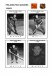 NHL phiq 1930-31 foto hracu3